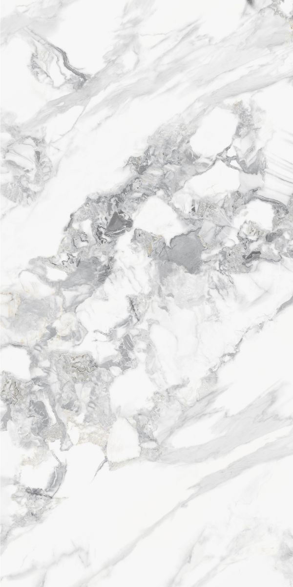 Y5PD11A/B/C/D/E/FG产品图