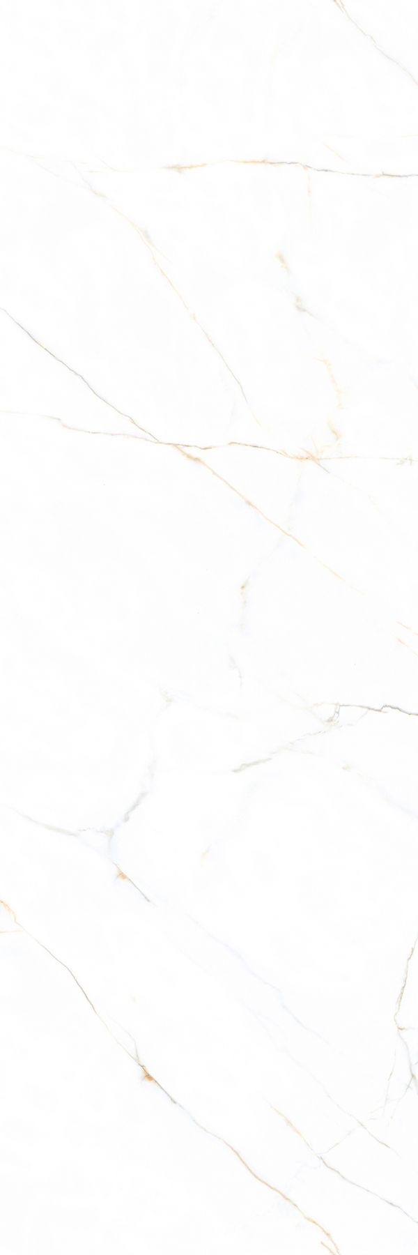T9YVB157DG产品图