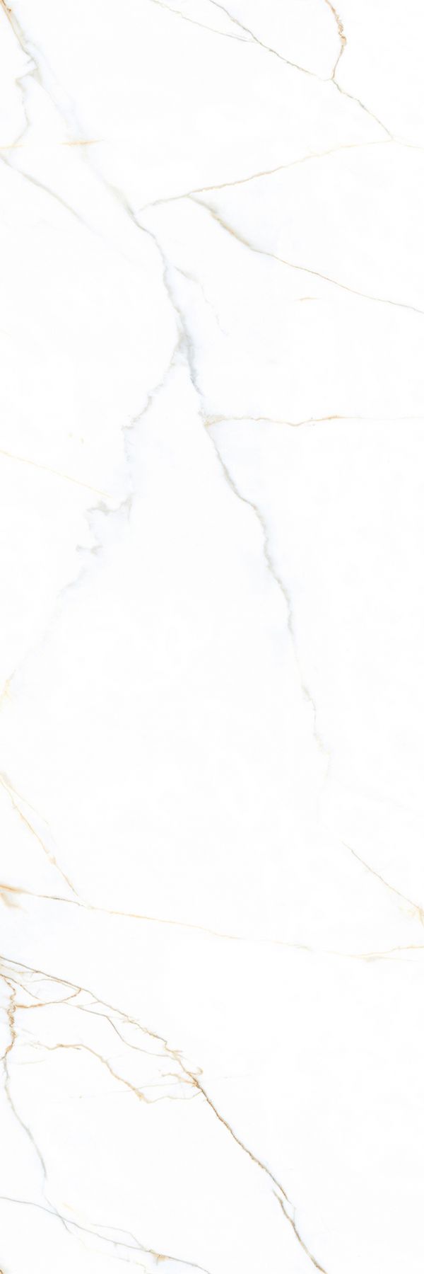 T9YVB157CG产品图