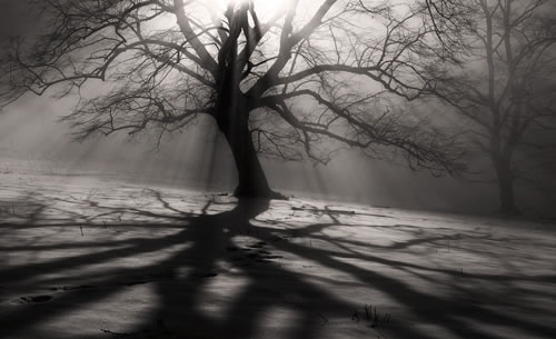 情不知所起，一往而深｜给现代仿古砖的一封情书