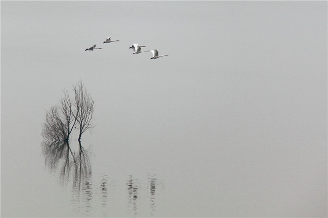 情不知所起，一往而深｜给现代仿古砖的一封情书