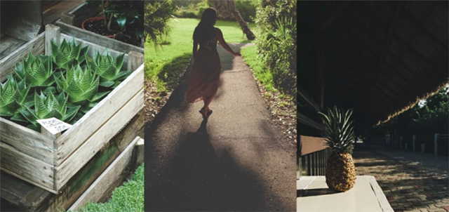 岩石瓷砖：这也许就是善良最好的解释