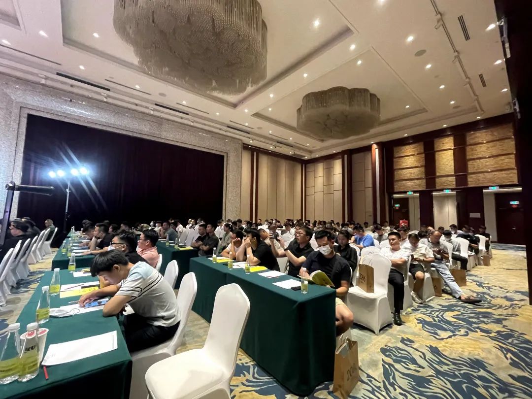 品牌月报 | 点燃六月骄阳火 乘势而上业绩佳(图23)